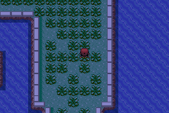 Pokemon Exceeded v8.3 background