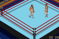 Fire Pro Wrestling 2 (U)(Venom) background