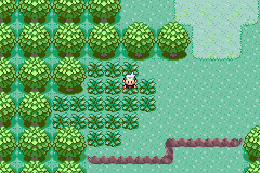 Pokemon Emerald Rebirth Reborn background