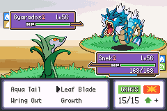 Pokemon Unbound v2.1.0 background