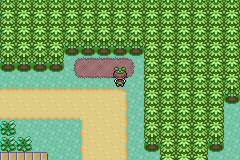 Pokemon Elite Redux v1.5.2 background