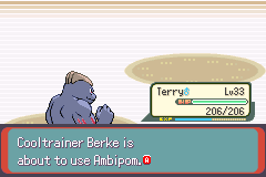 Pokemon Exceeded v11.5 background
