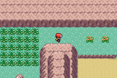 Pokemon Emerald Rogue EX 1.3.0 background