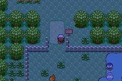 Pokemon Exceeded v9.0 background