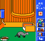 Ferret Monogatari (Japan) background