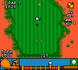 CyberTiger (USA) background