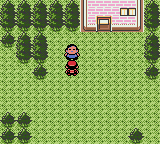 Pocket Monsters Kin (Japan) background