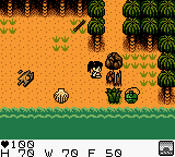 Survival Kids (USA) background