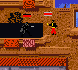 Mask of Zorro, The (USA) background