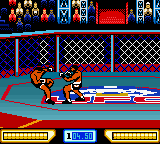 Ultimate Fighting Championship (USA) background