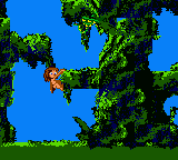 Tarzan (USA, Europe) background
