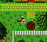 Conker's Pocket Tales (USA, Europe) (En,Fr,De) background