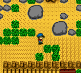 Harvest Moon GB (Europe) background