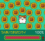 Sylvanian Families 3 - Hoshi Furu Yoru no Sunadokei (Japan) background