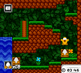 Toki Tori (USA) (En,Ja,Fr,De,Es) background