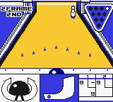 Pocket Bowling (Japan) background