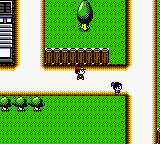 Pocket Lure Boy (Japan) background