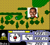 Tiger Woods PGA Tour 2000 (USA, Europe) background
