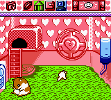 Hamster Paradise (Japan) background