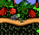 Donkey Kong Country (USA, Europe) (En,Fr,De,Es,It) background