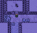 Pokemon Coral Version (2022 DEMO v1.2) background