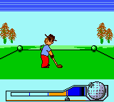 Hole In One Golf (USA) background