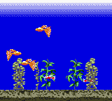 Aqualife (Japan) background
