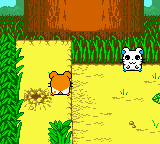 Hamtaro - Ham-Hams Unite! (USA) background