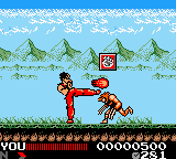 Hiryuu no Ken - Retsuden GB (Japan) background
