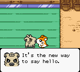 Hamtaro - Ham-Hams Unite! (Europe) (En,Fr,De,Es,It) background