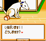 Hamster Paradise 3 (Japan) background
