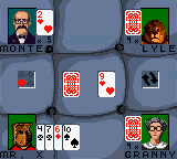 Hoyle Card Games (USA) background