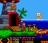 Shantae (USA) background