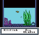 Legend of the River King GB (USA) background