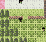 Pokemon Crystal Clear Standard (v2.5.5) background