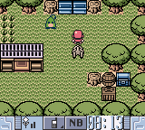 Pokemon Jade Version (Unl) background