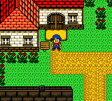 Harvest Moon 2 GBC (Europe) background