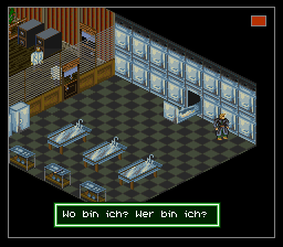Shadowrun (Germany) background