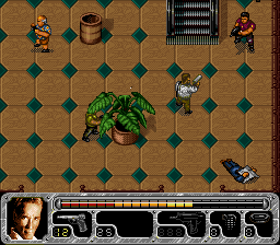 True Lies (Japan) background