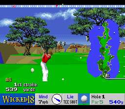 Wicked 18 (USA) background
