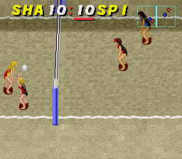 Dig & Spike Volleyball (USA) background