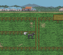 Super Keiba 2 (Japan) background