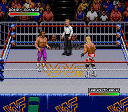 WWF Royal Rumble (Japan) background