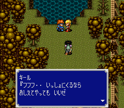 Elfaria II - The Quest of the Meld (Japan) background