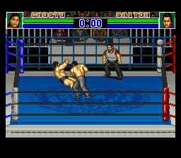 Shin Nihon Pro Wresling Kounin - '94 Battlefield in Tokyo Dome (Japan) background