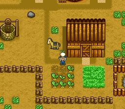 Harvest Moon (USA) background