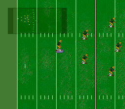 NCAA Football (USA) background