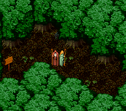 Wondrous Magic (Japan) background