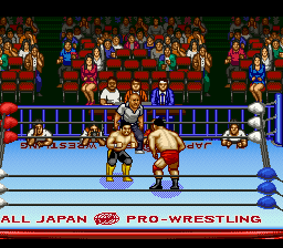 Zen-Nihon Pro Wrestling 2 - 3-4 Budoukan (Japan) background