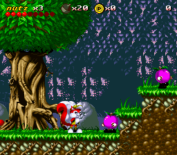 Mr Nutz (Japan) background